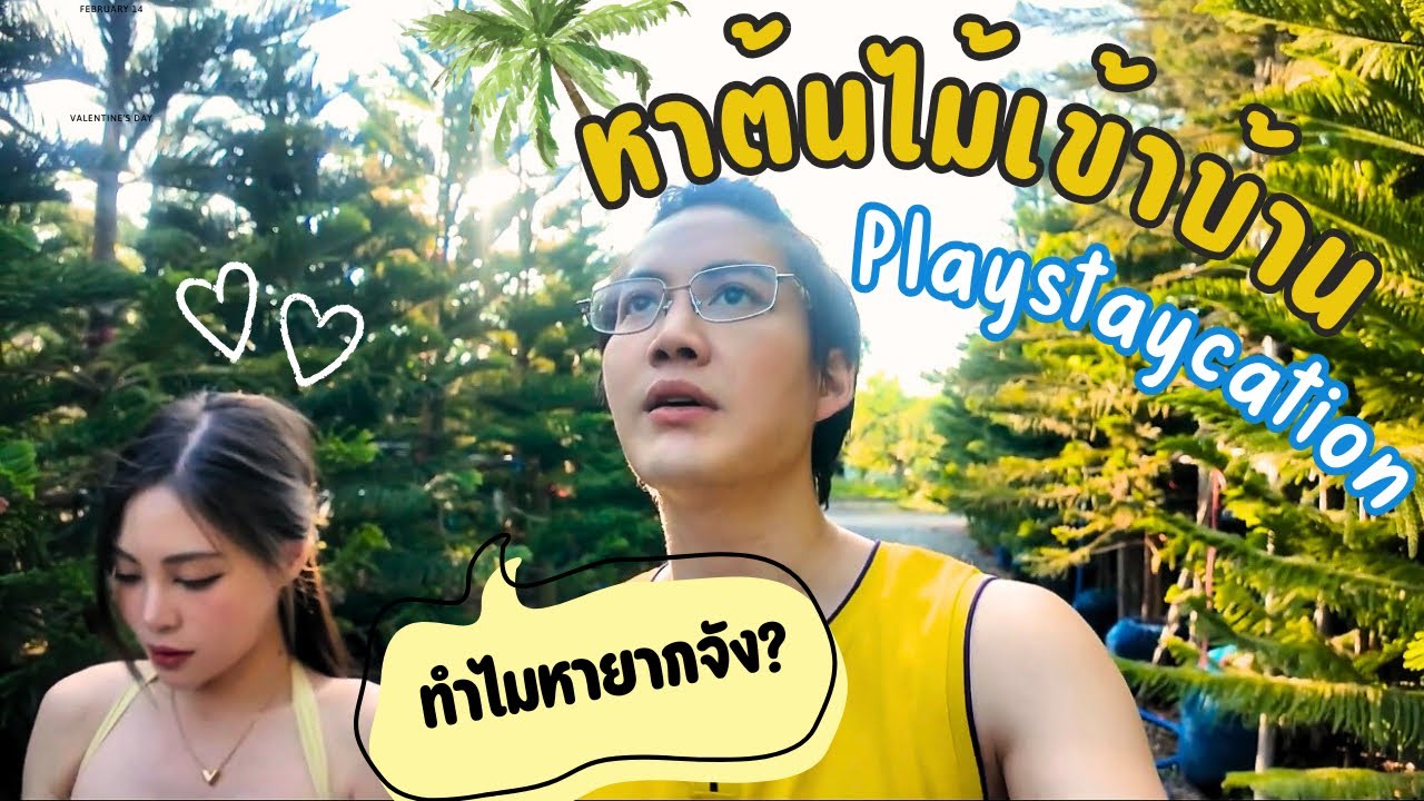 พาแฟนตามหาต้นไม้เข้าบ้านใหม่ ต้นสน ต้นปาล์ม จ๋าพี่มาแล้น #playstaycation
