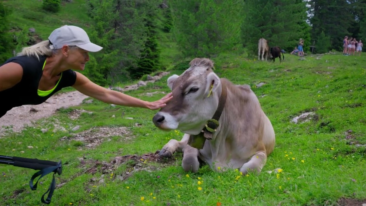 Dolomiti test for diudiu