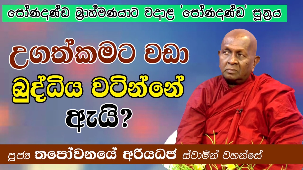 උගත්කමට වඩා බුද්ධිය වටින්නේ ඇයි? සෝණදණ්ඩ සූත්‍රය | තපෝවනයේ අරියධජ හිමි