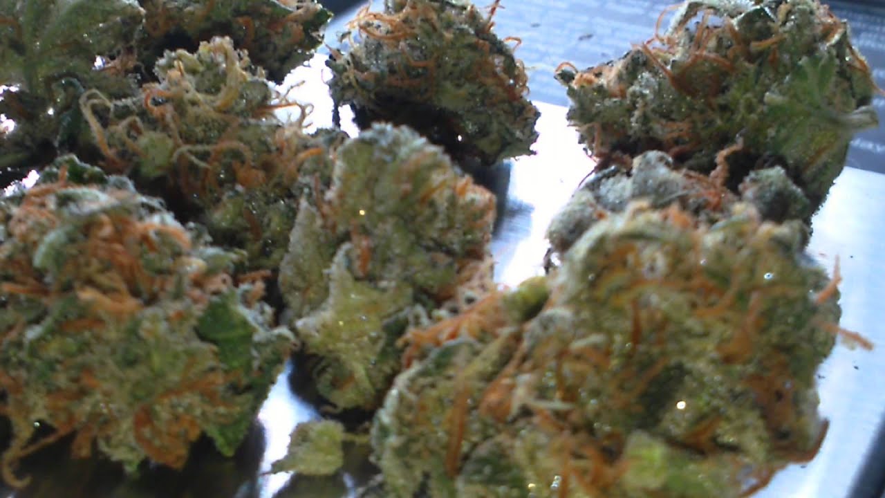 Jet Fuel OG