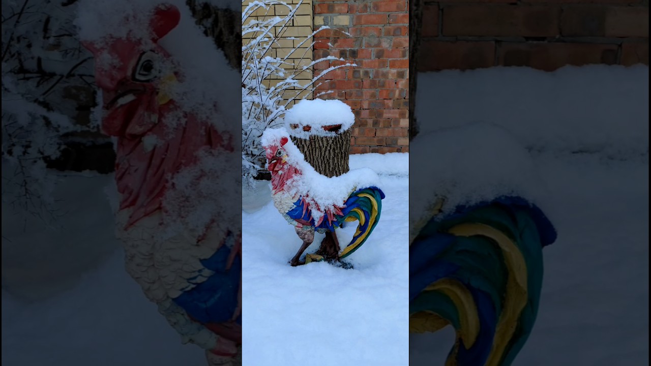 29 декабря в Ростове-на-Дону.  Мой Дом - моя Крепость.