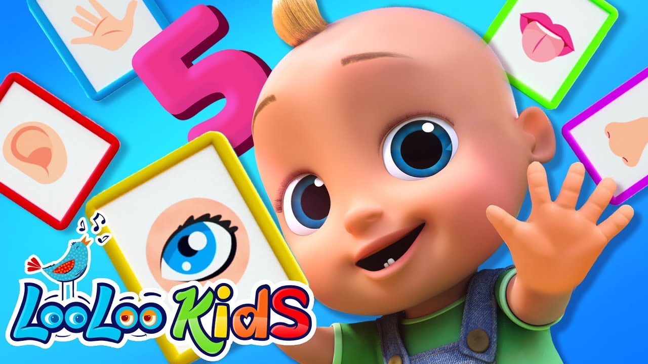 Five Senses Song for Preschool 👀👂 | Nursery Rhyme for Toddler & Kids Songs | Looloo Kids Tv
