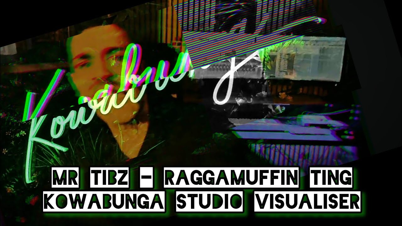Mr Tibz - Raggamuffin Ting  (Kowabunga Studio Visualiser) Reggae Jungle 2025