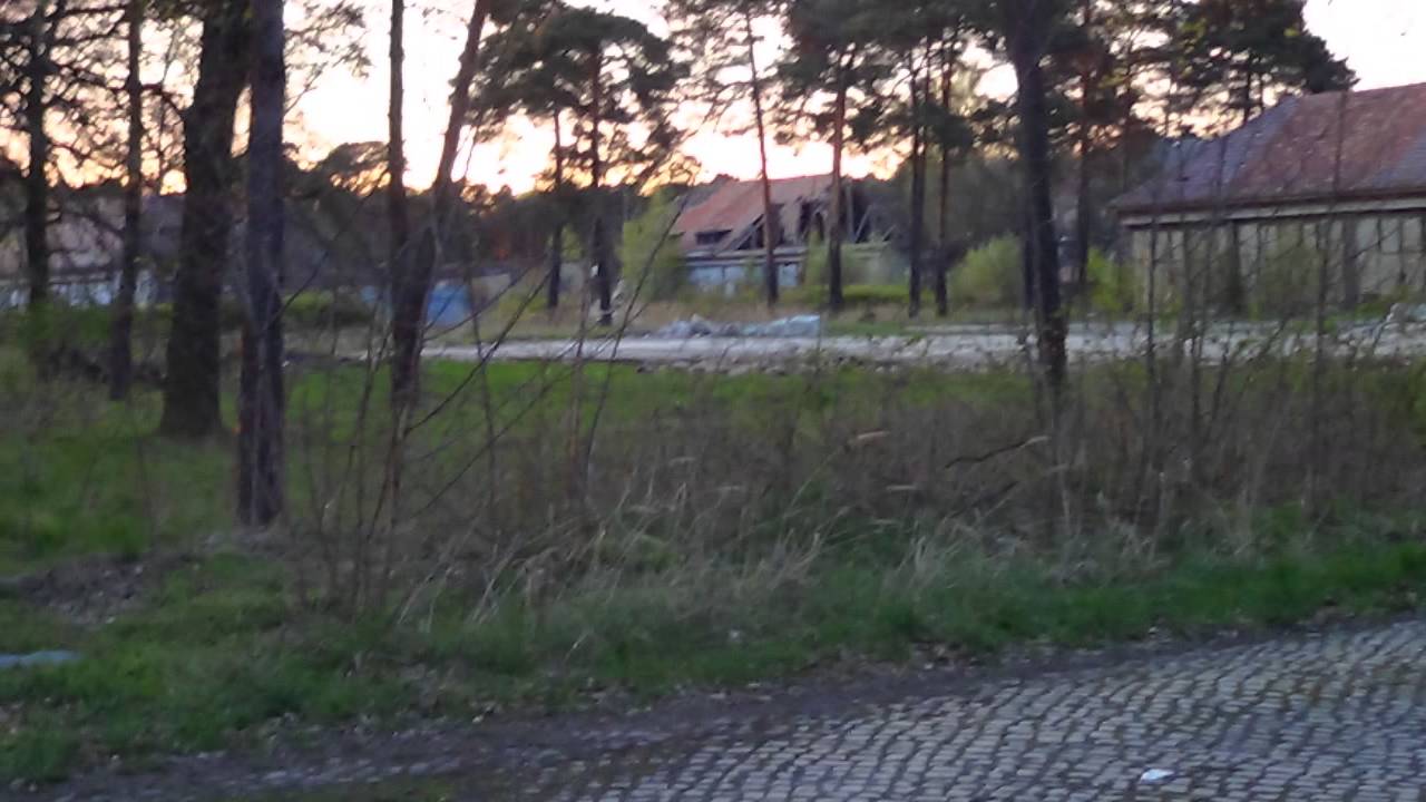 Żary - 42 Pułk Zmechanizowany