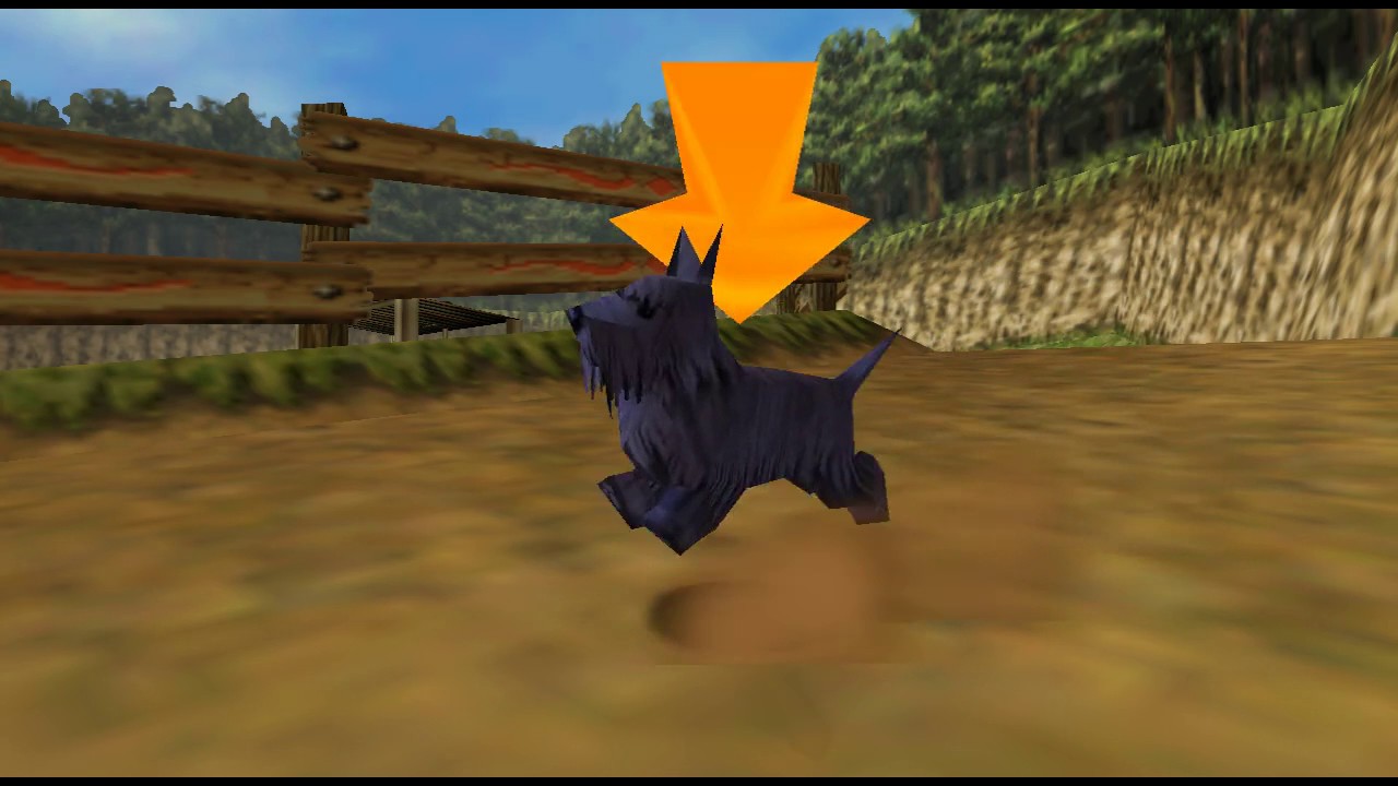 Blue dog is too strong