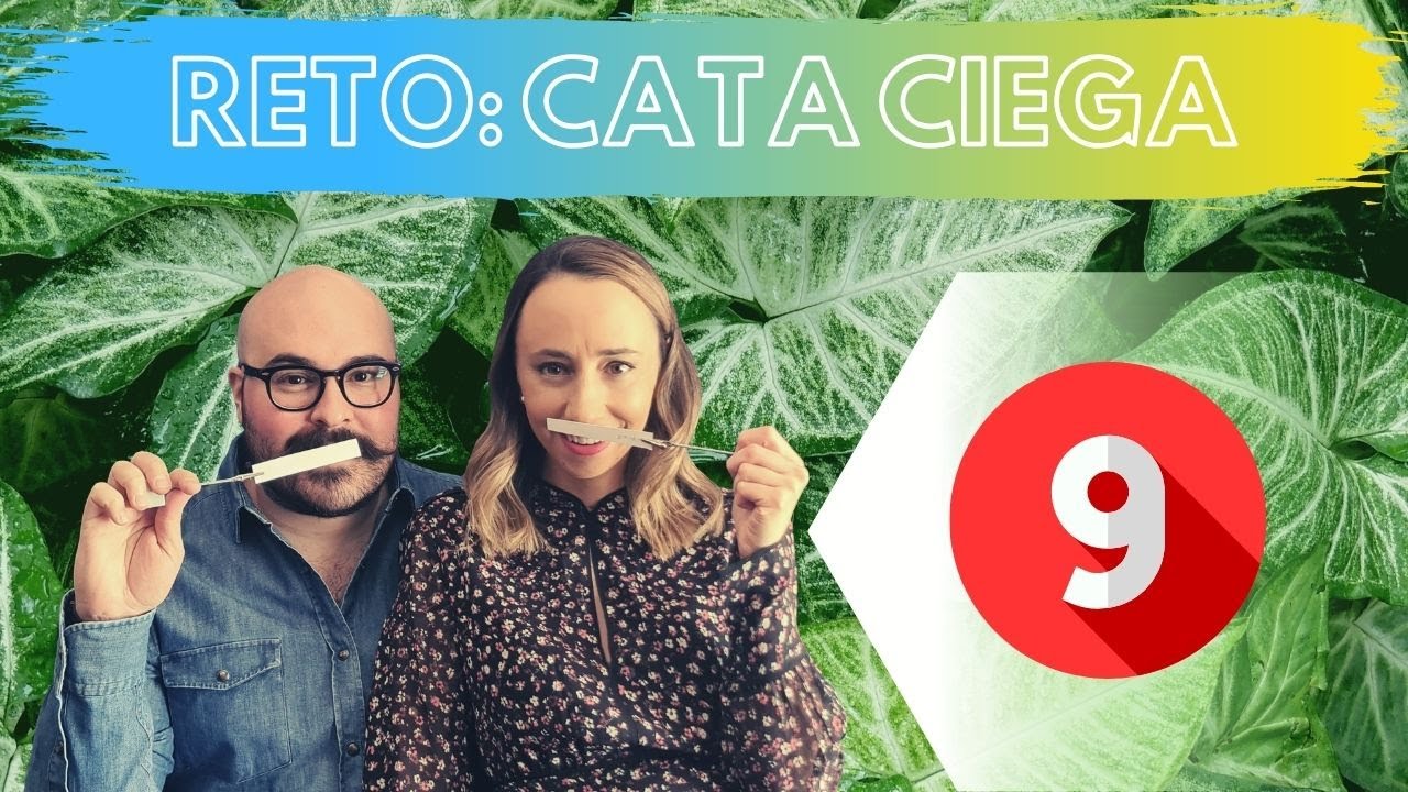 |Cata Ciega de Perfumes que Ustedes nos Mandaron Pt.9 | My Scent Journey