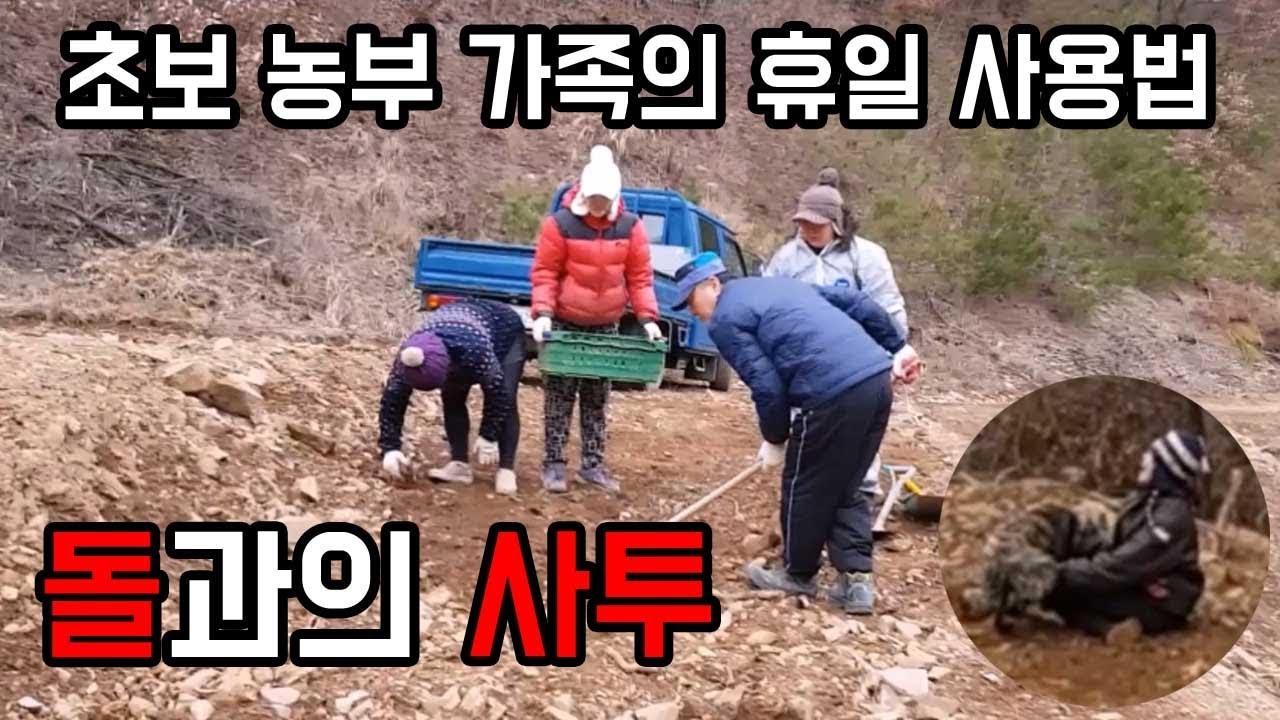 초보 농부 가족의 휴일 사용법 / 돌과의 사투 / 꿀 빠는 가족