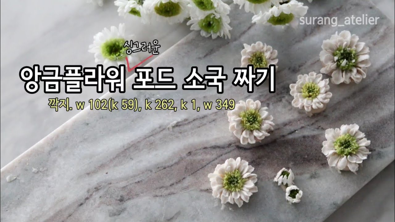 앙금플라워 포드 소국 짜기 beanpaste flower piping tutorials