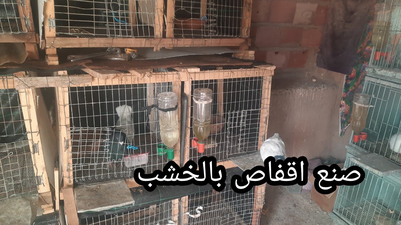 صنع اقفاص الحمام باقل تكلفة🕊👍