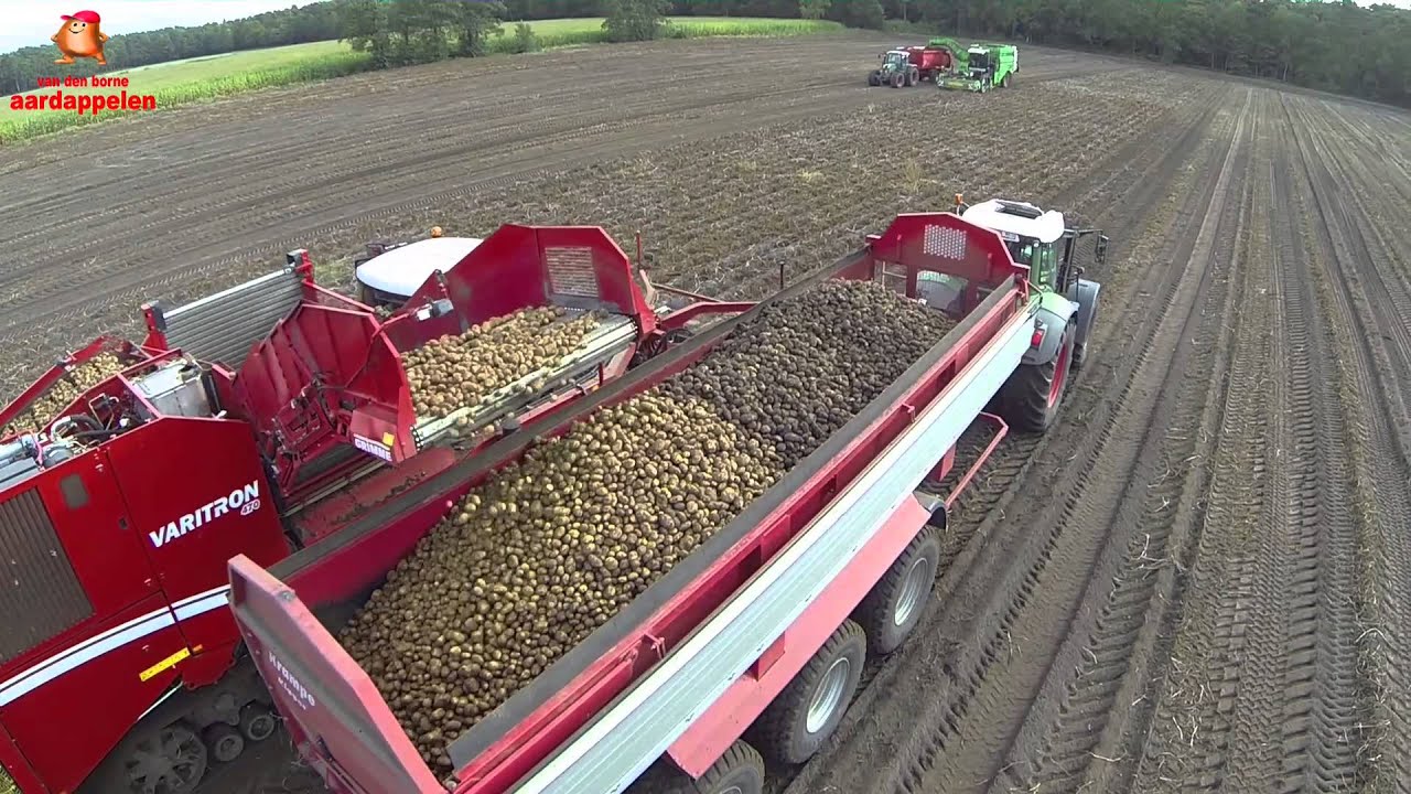 Grimme Varitron 470 Terra Trac + AVR Puma+ bij Van Den Borne aardappelen
