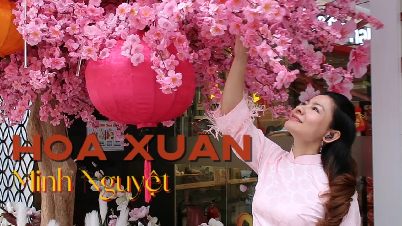 Hoa Xuân - Phạm Duy | Minh Nguyệt