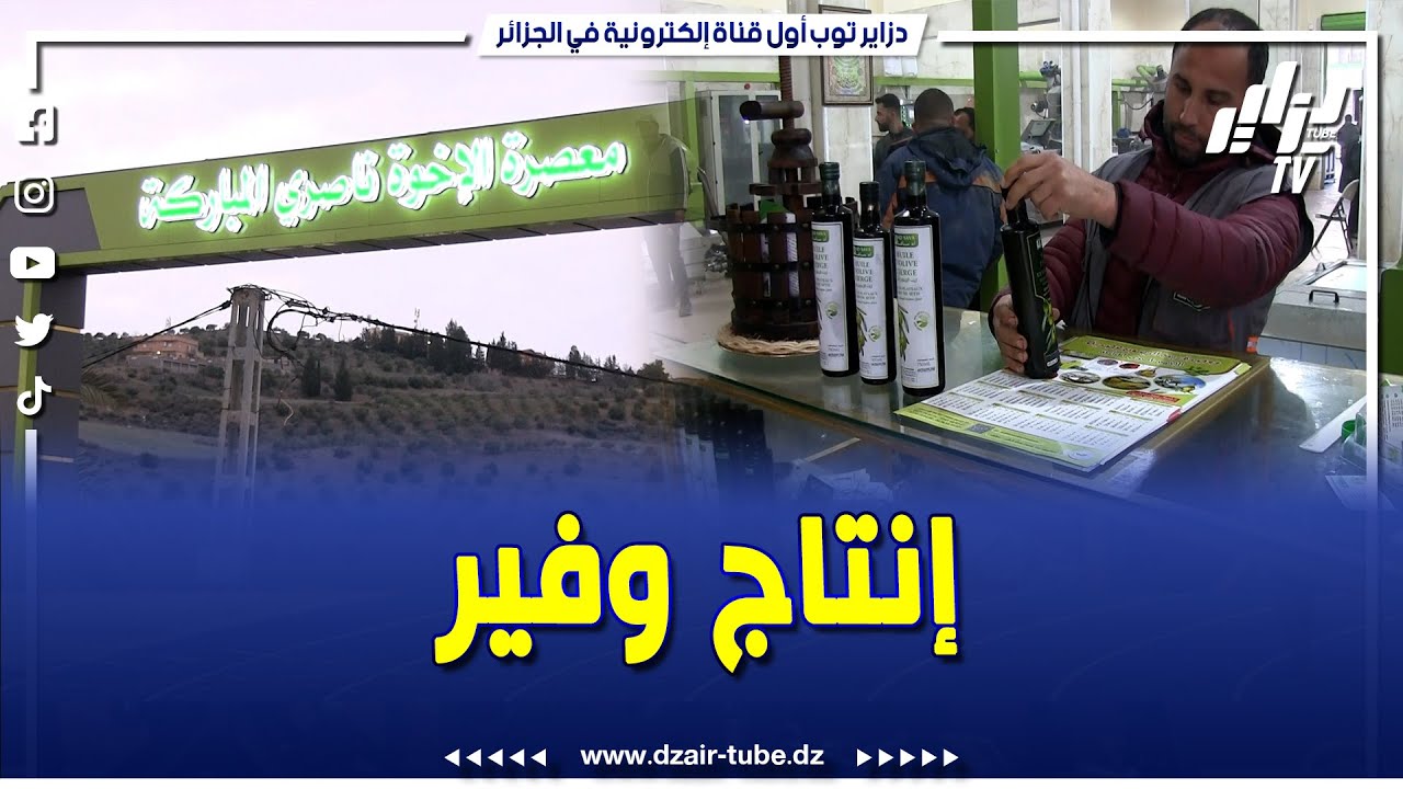 #شاهد..معصرة الإخوة ناصري ببلدية حمام ڨرڨور شمال سطيف تستقبل مردود الفلاحين من الزيتون
