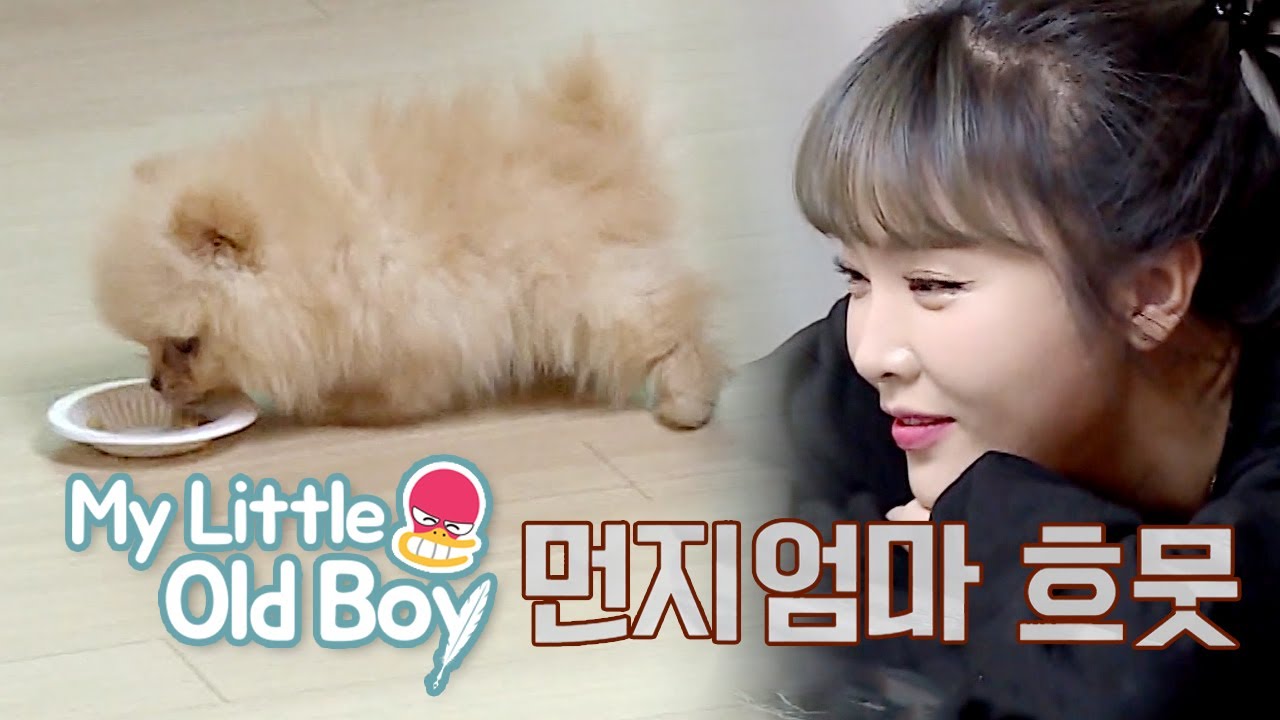 Munji~ You Want Some Food? He Dribbles His Bowl!! [My Little Old Boy Ep 177]