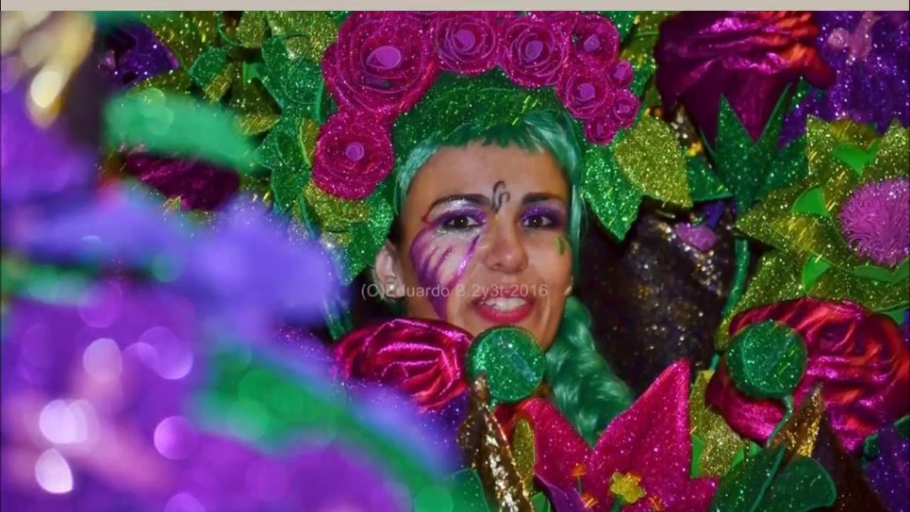 COMPARSA ESTRELAS DA NOITE 2016