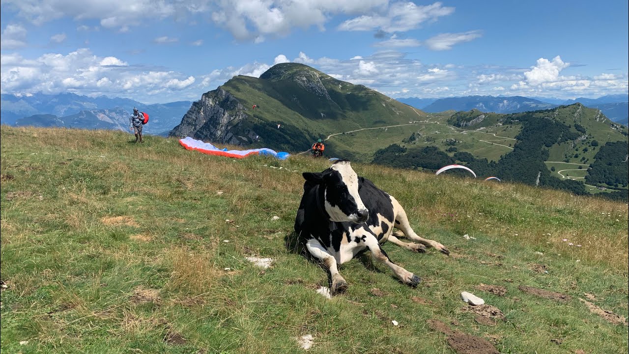Paragliding with strong wind and poor landing at Lago di Garda