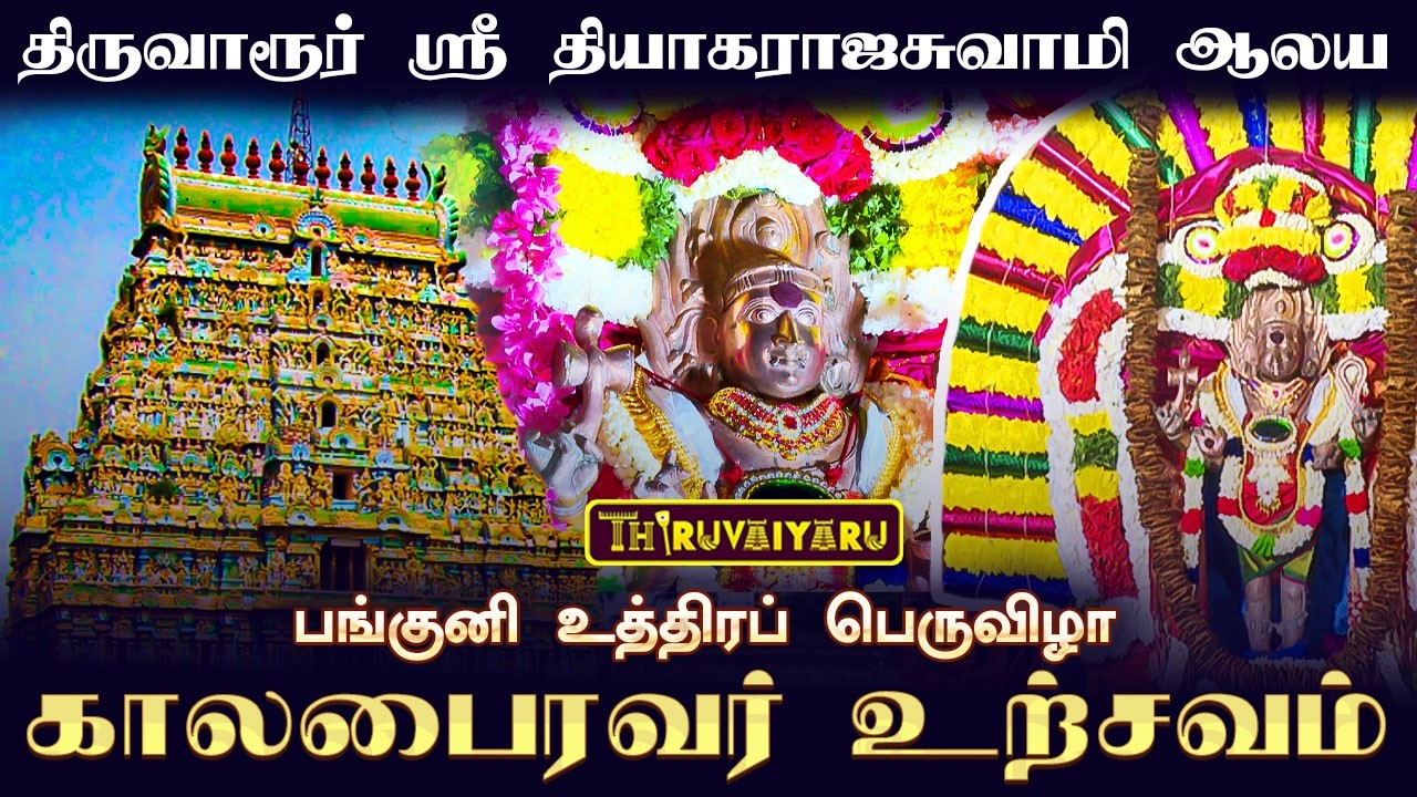 திருவாரூர் ஸ்ரீ தியாகராஜசுவாமி ஆலய பங்குனி உத்திரப் பெருவிழா நாள்-11 காலபைரவர் உற்சவம்