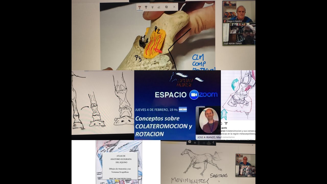 Conceptos sobre COLATEROMOCION y ROTACION, José A Iranzo.