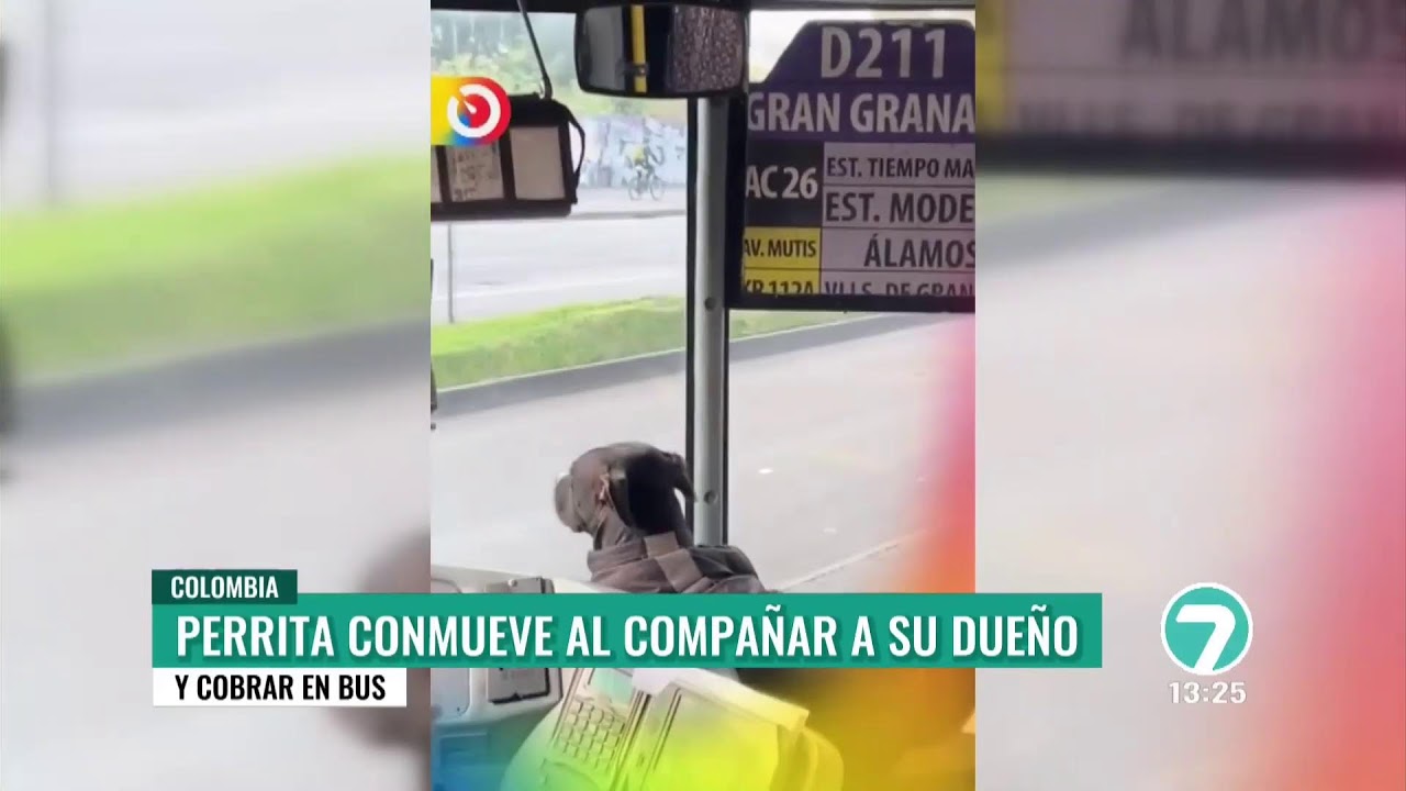 🔴 ENVIVO / Noticias 7 - Edición Central- 04 de marzo de 2026 - Noticias Ecuador