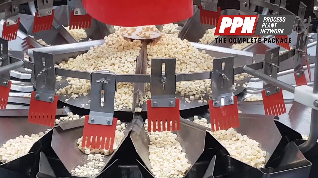 Ishida Multihead Weigher (20) CCW-DZ-220B-D/20-PB [19559]