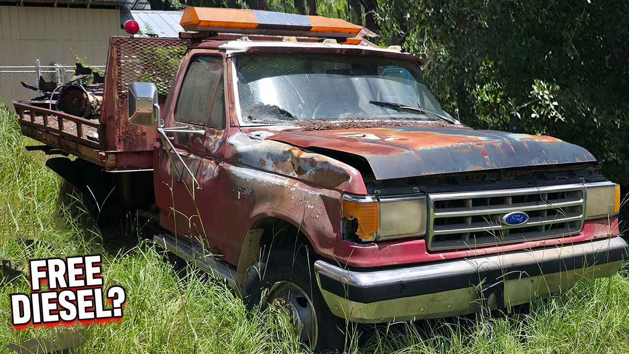 I Got a FREE  ROLLBACK — Will It Make it Home