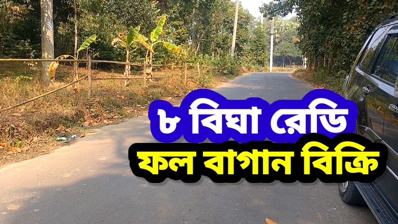 ৮ বিঘা বাগান বিক্রয় শ্রীপুর গাজীপুর | Agro Land sale Gazipur @IMPEXPROPERTY 