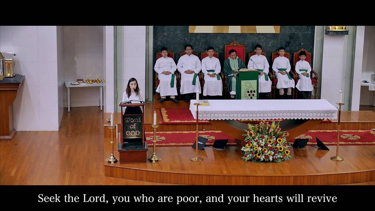 Psalm 68 Seek The Lord You Who Are Poor 15th Sunday Ordinary Time OCDC OLPS