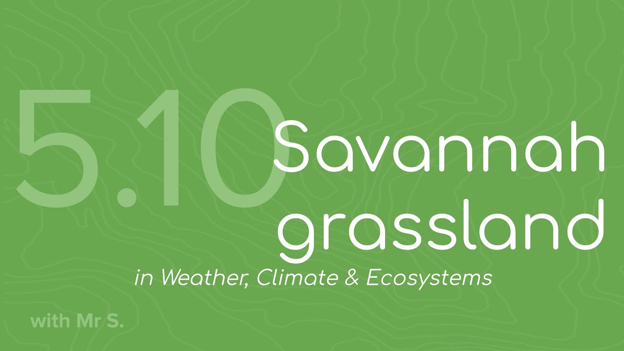 Savannah grassland (FMGL5.10)