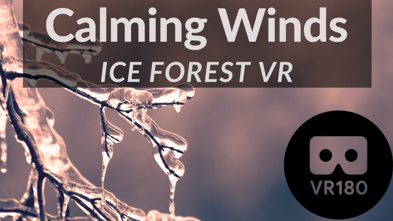 Relaxing Ice Forest VR180