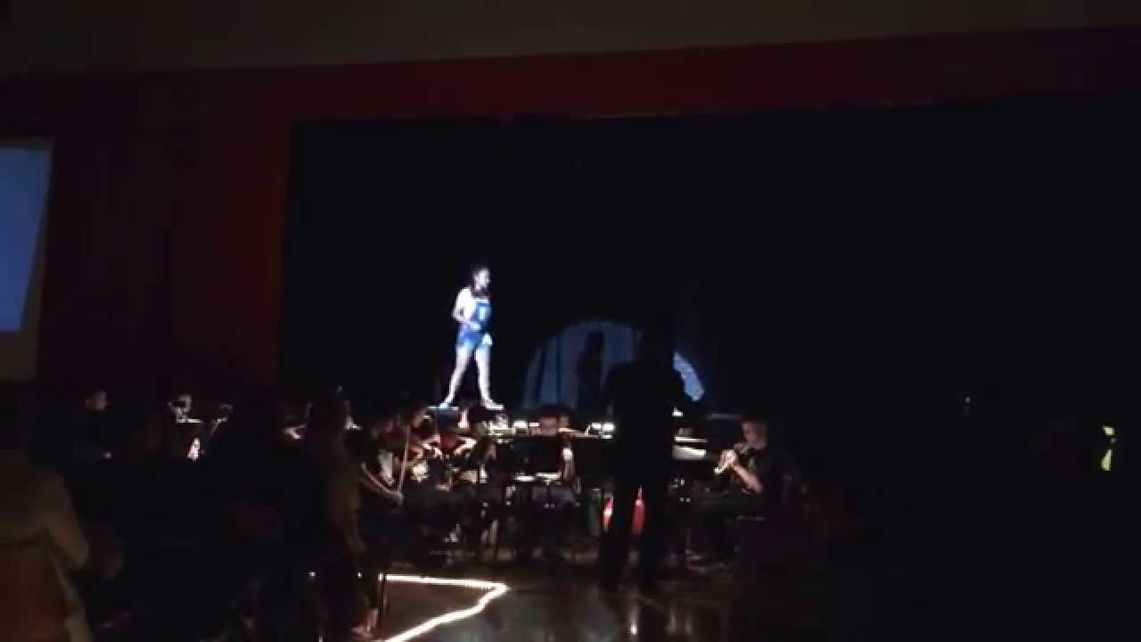 2014 Cherrybrook Technology High Musical 