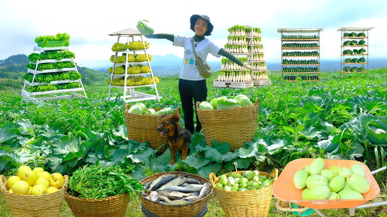 Harvest Vegetables, Fruits And FishTo Sell At market | Cook, Garden And Raise Animals