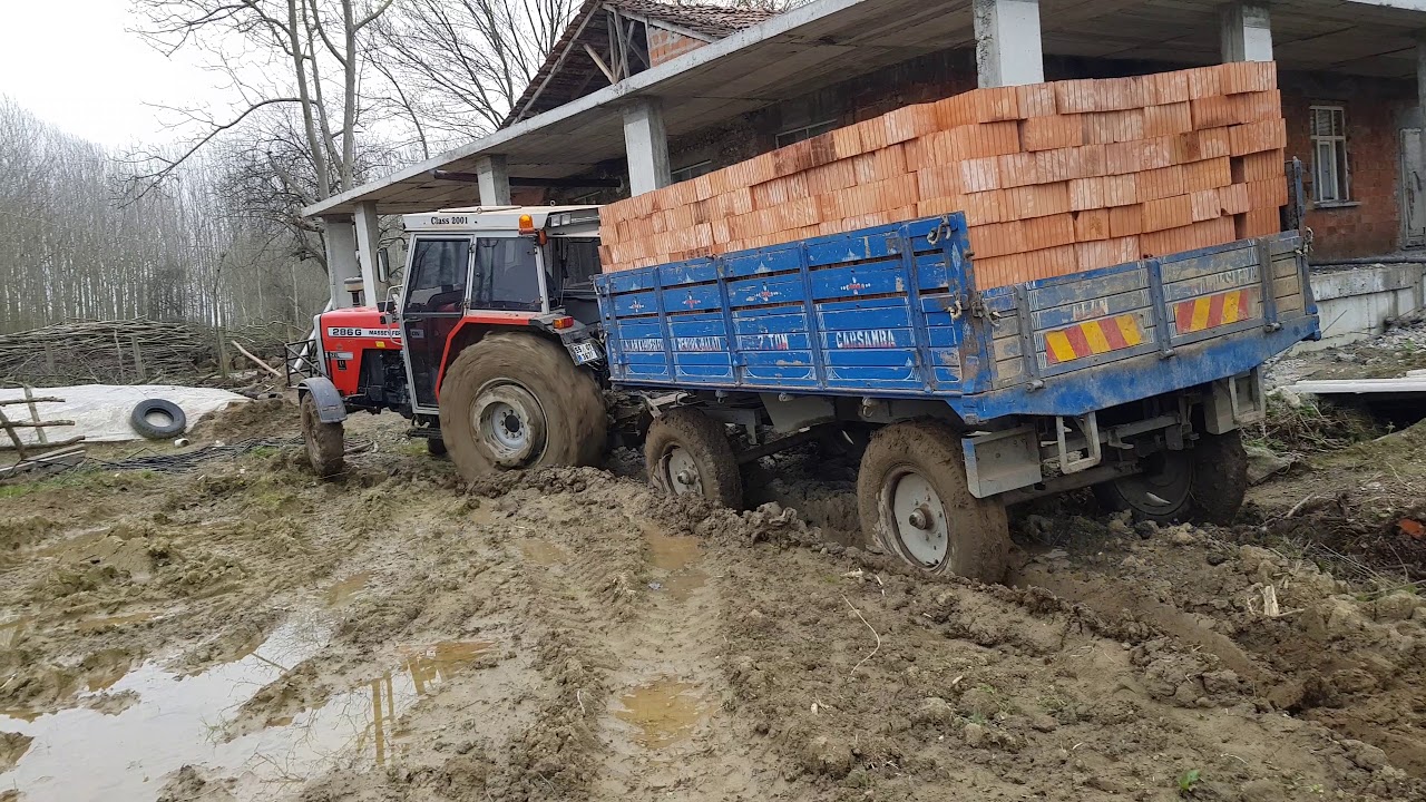 Massey Ferguson 286 Gold