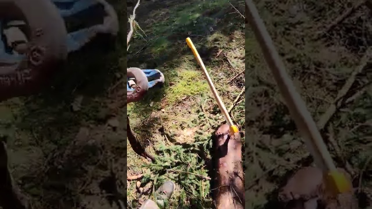R&uuml;ckeschild, schr&auml;g zum Weg ziehen mit Umlenkrolle, Schlupf und Sch&auml;kel