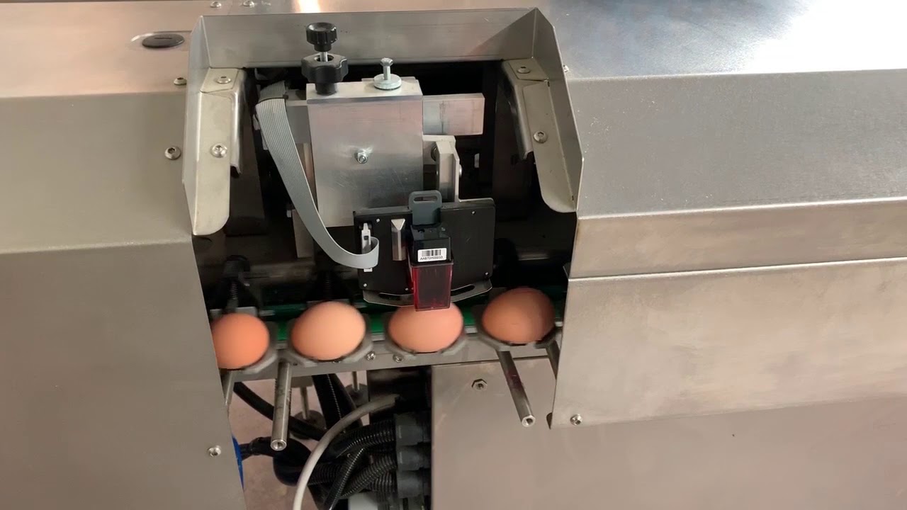 Nuovo Egg Printer - Egg-Jet SOR1 on Minigrad Simetek