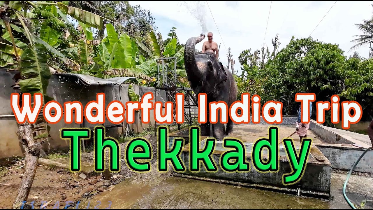 Travel India - Thekkady טיול להודו