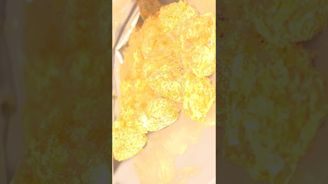 ZEREALZ GROWN BY HIGH ROAD IN STATE OF MAINE #highroad #420 #zerealz