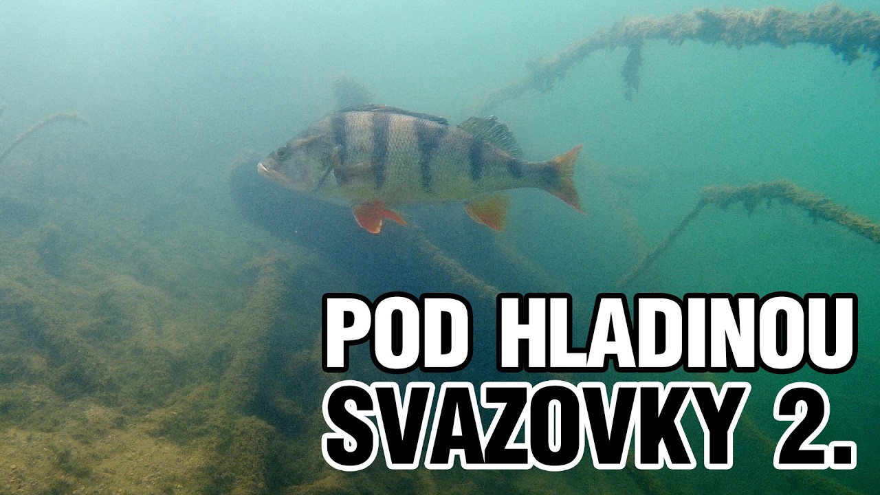 Pod hladinou české svazovky 2. | NASTRAHY.CZ