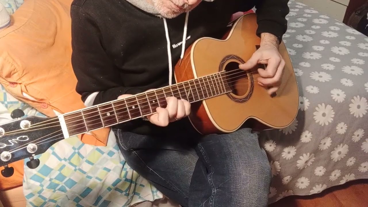 l'ape Maia in concerto guitar