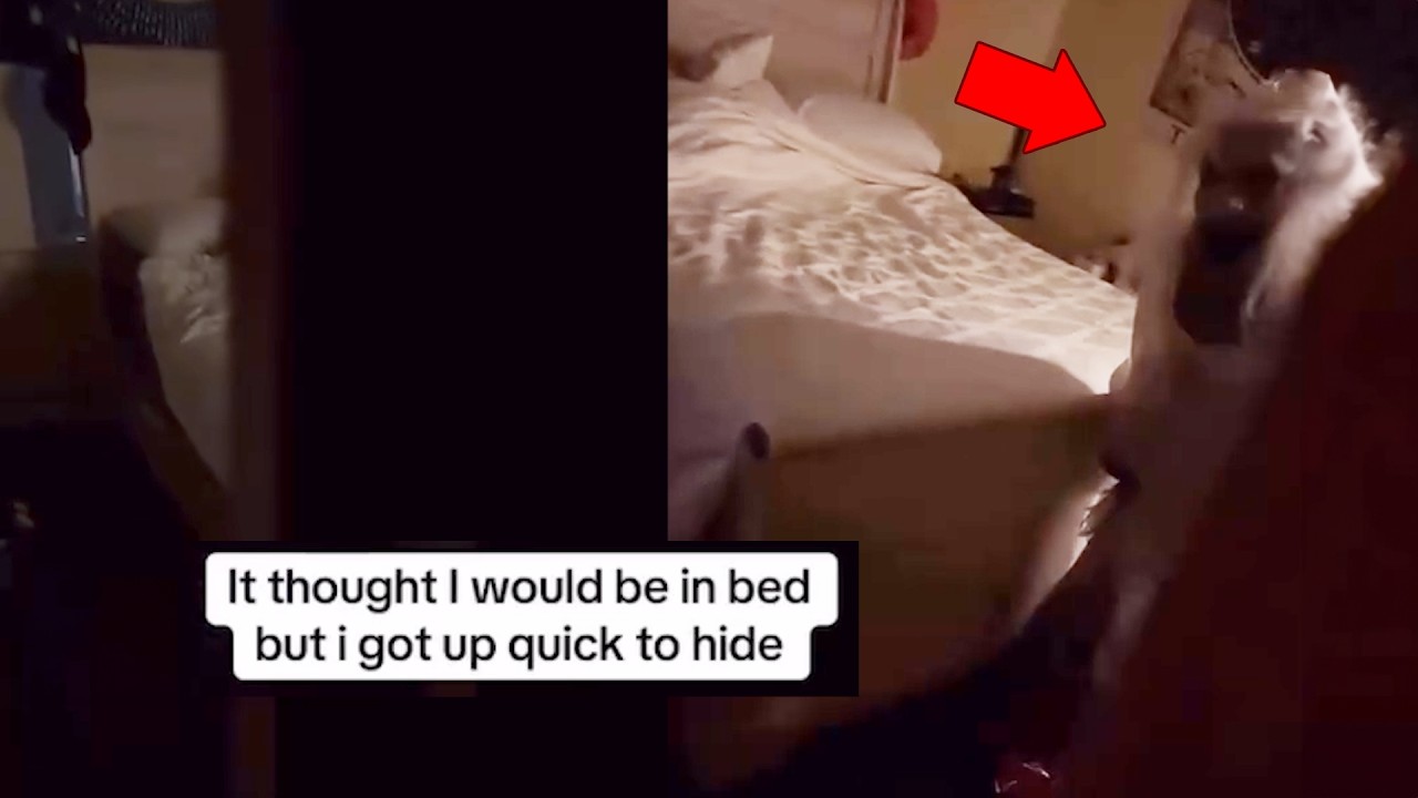 8 SCARIEST TIKTOK GHOST VIDEOS You Have Not Seen