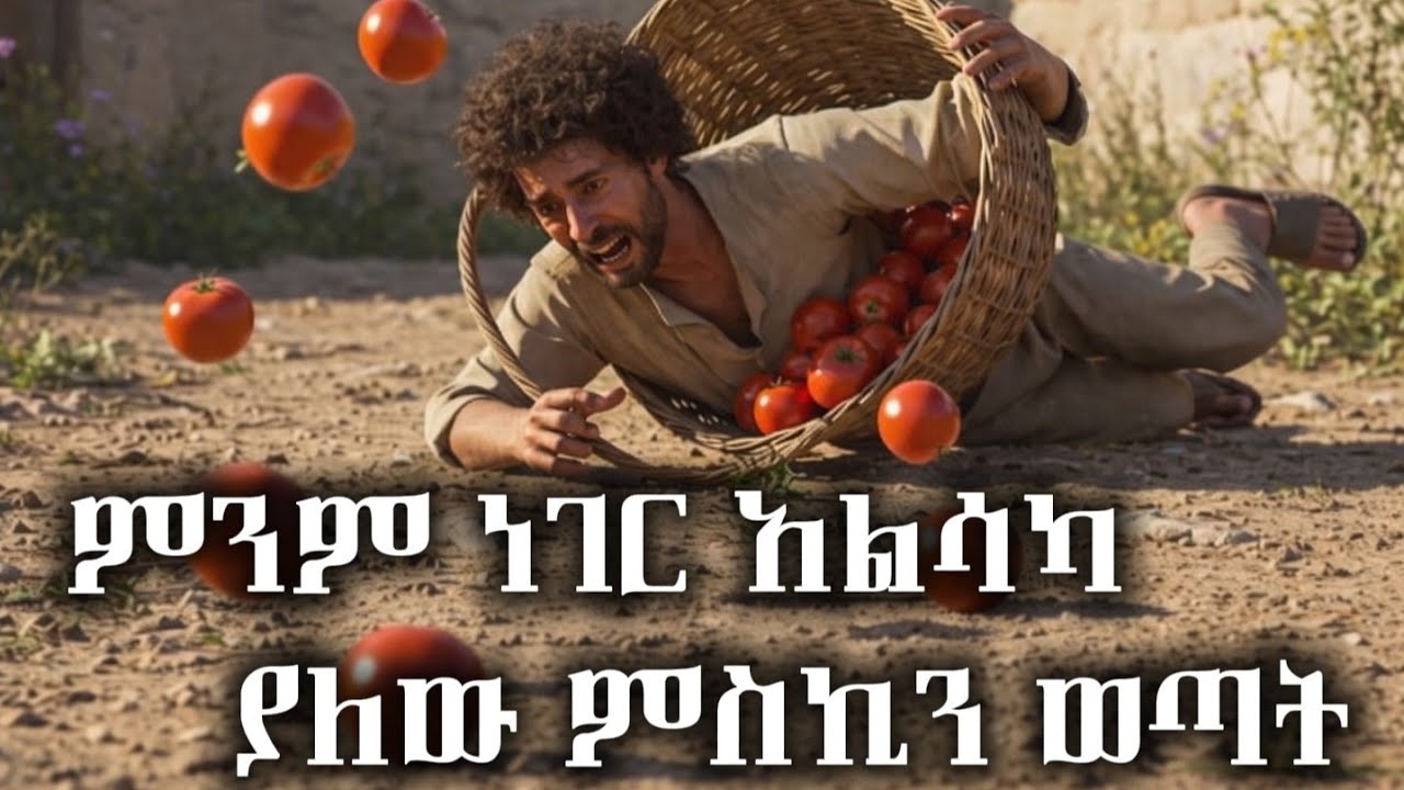 በሚሰራው ስራ ሁሉ አልሳካ ያለው ምስኪን ወጣት ታሪክ / የማታ ታሪኮች night story ተረት ተረት 