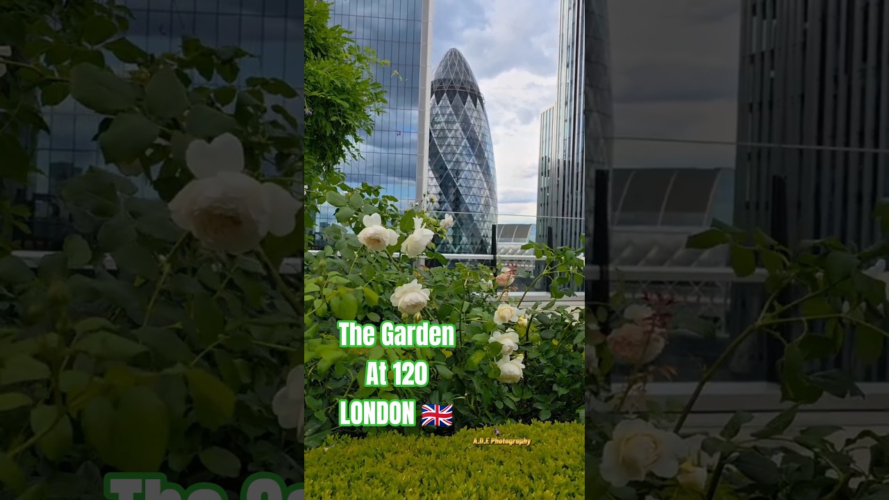 The Garden at 120 London in Bloom 🌸🌿 