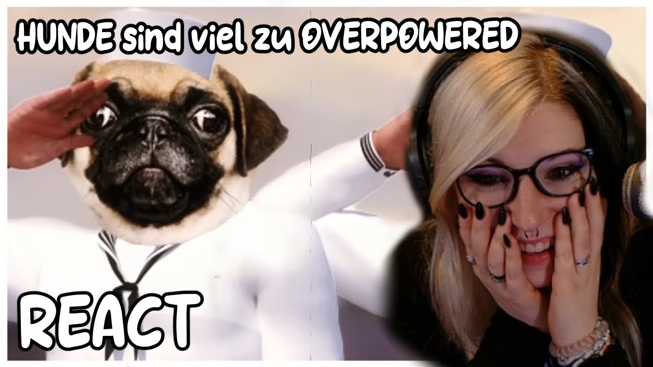 Zesschen reagiert: HUNDE sind viel zu OVERPOWERED | React auf skeez
