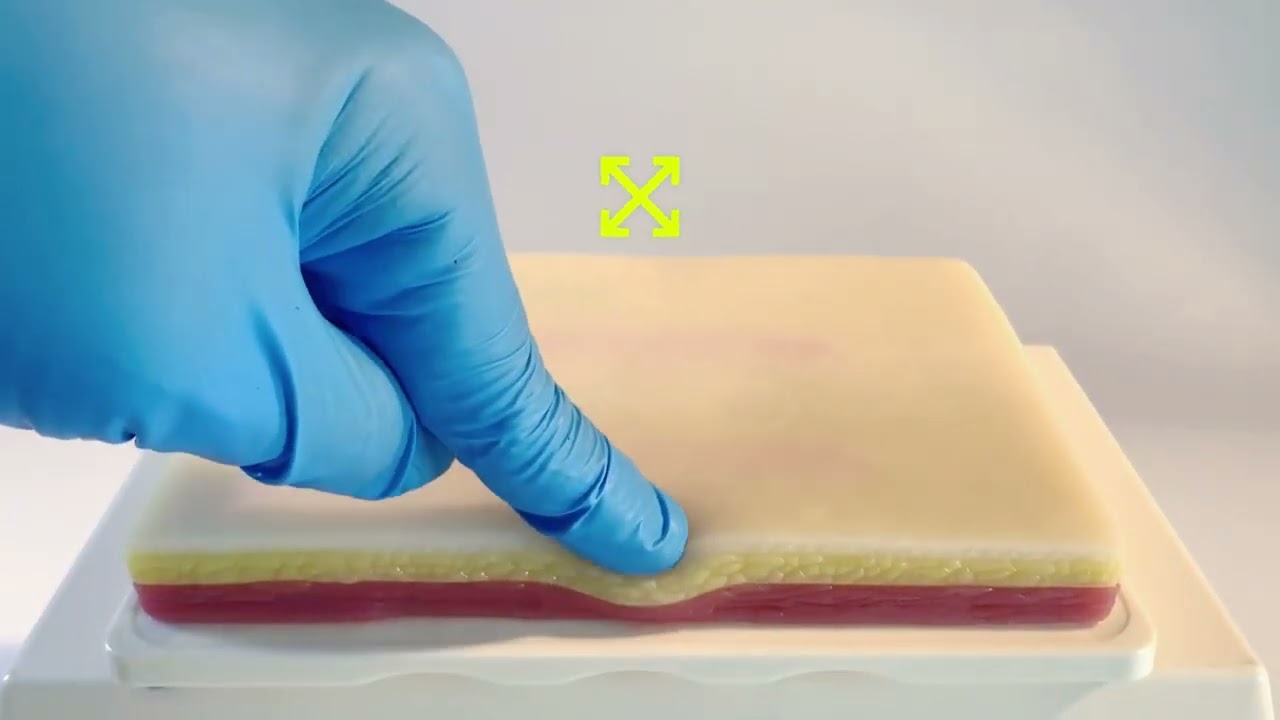 NP/PA/RN Program Venipuncture IV Injection Technique Training Tool