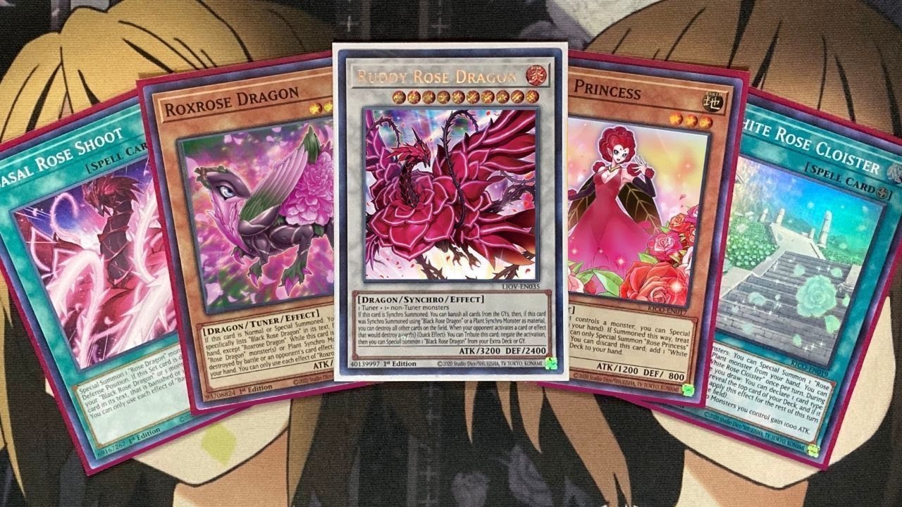 My Black Rose Dragon Yugioh Deck Profile for Post King's Court