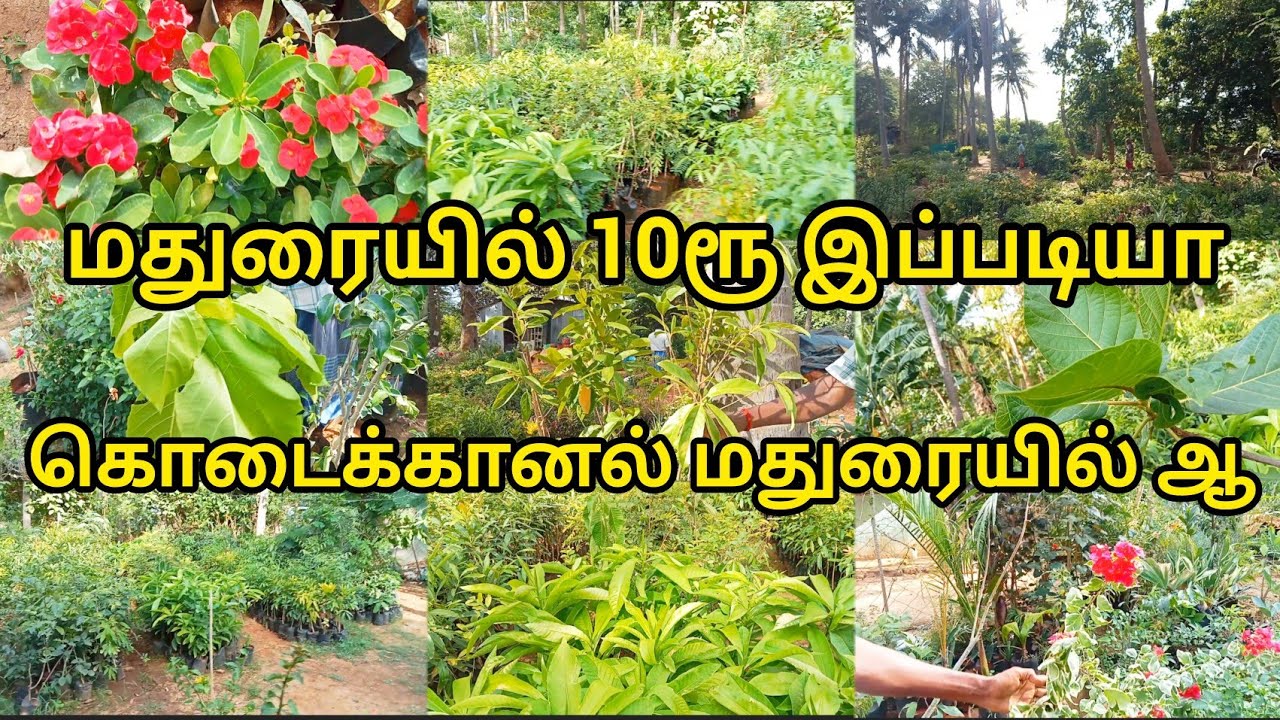 மதுரையில் 10ரூ இப்படியா |ஊட்டி கொடைக்கானல் மதுரையில் ஆ|Madurai Shopping Vlog|Must Try Lowprice Shop