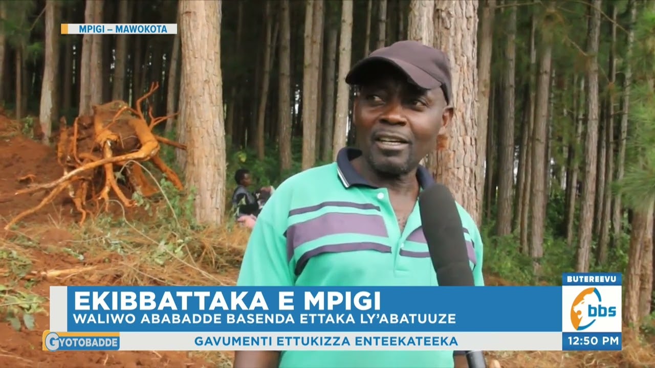 Ekibbattaka e Mpigi, Abatuuze Bagudde mu Malaka Ababadde Basenda Ettaka