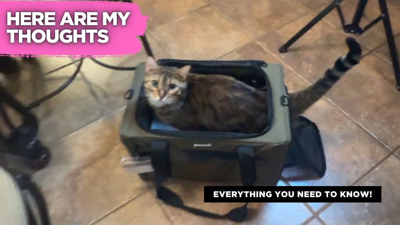Pecute Cat Carrier Review