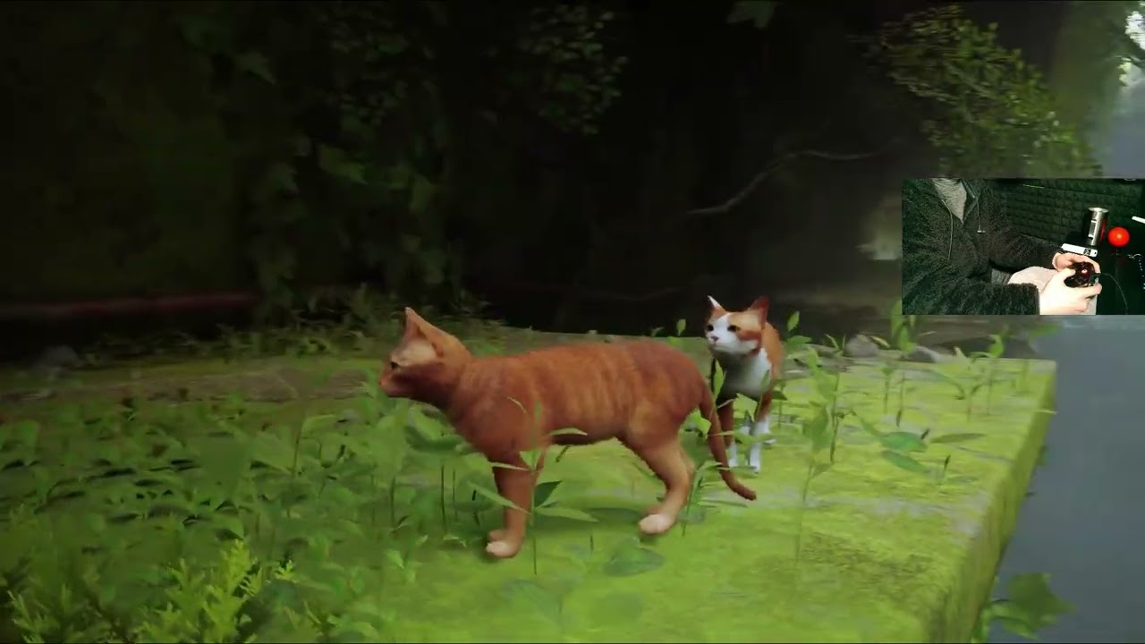 STRAY 鹿が猫になってブレードランナー風の世界を冒険する初見プレイ＃１