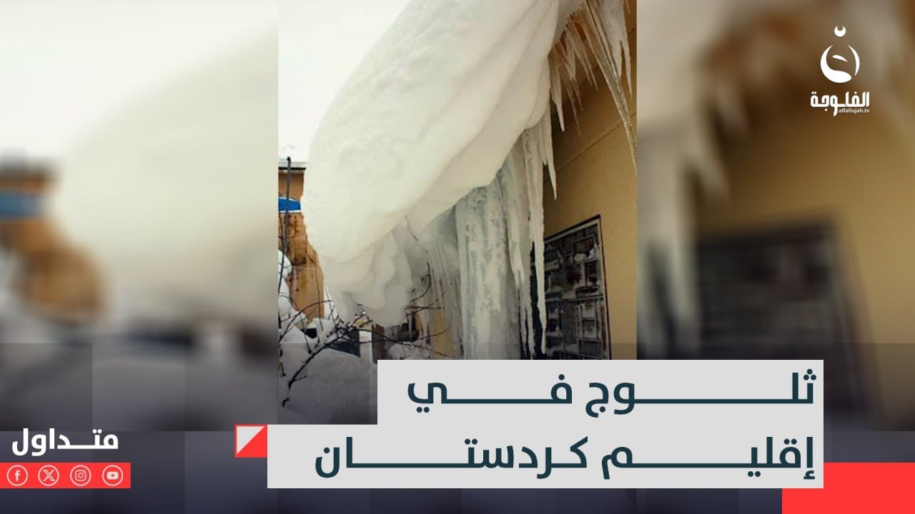 تساقط الثلوج على مناطق حاج عمران في إقليم كردستان #متداول