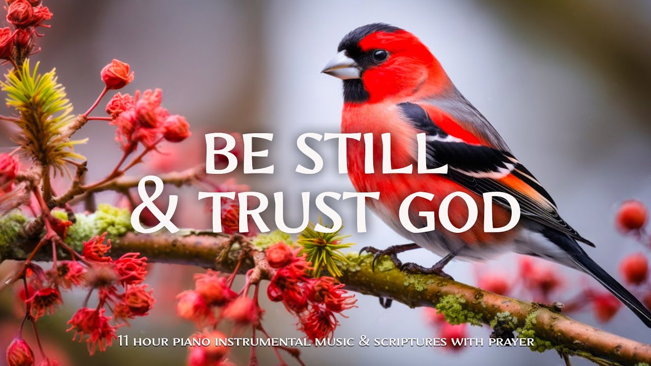 Be Still & Trust God : Instrumental Worship and Scriptures with Birds 🕊 Christian Instrumental