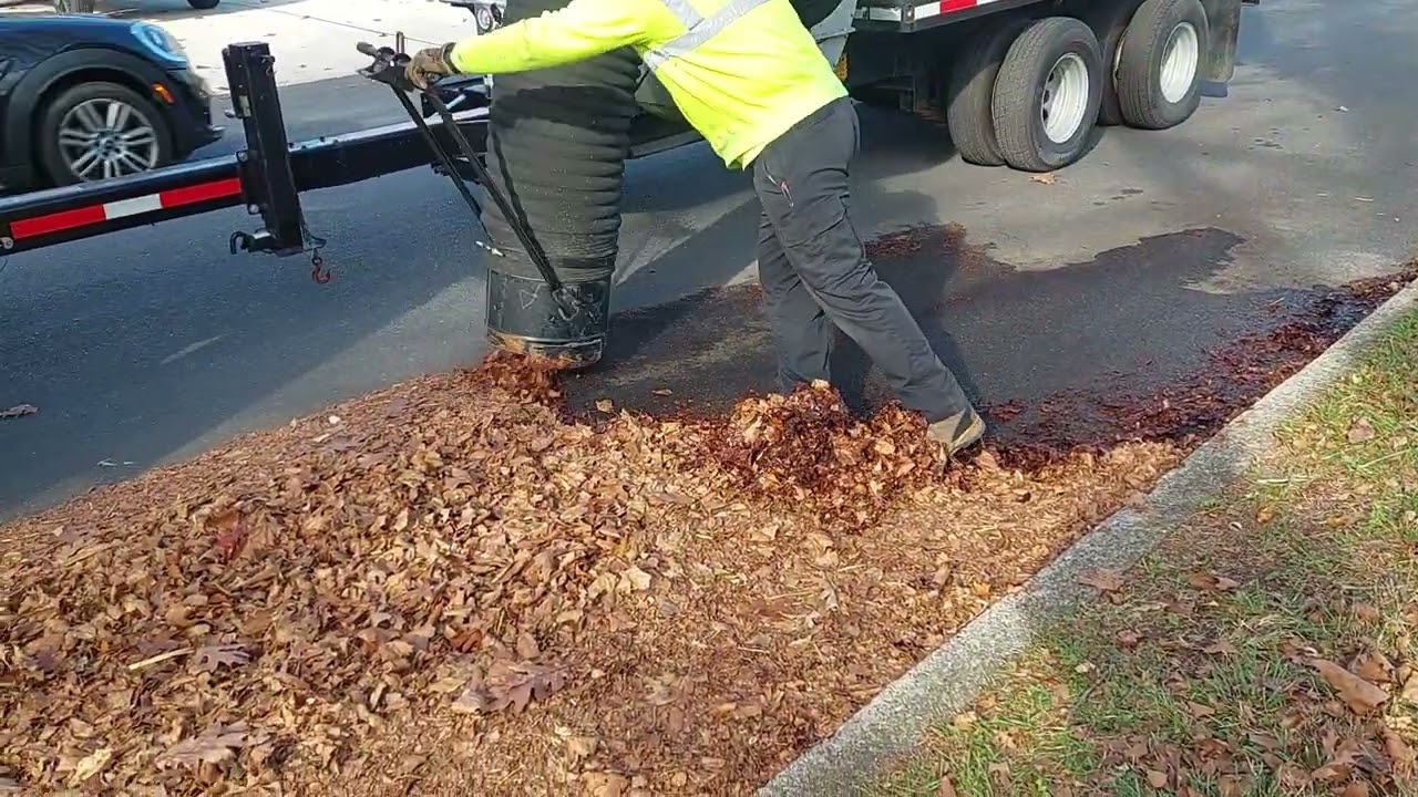 2025 Han-Le-Co Leaf Collection 